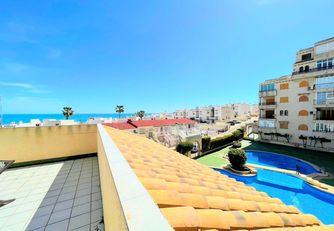 Ferienwohnung in Torrevieja - RENTED! Torre Lomas | Long Term Rental La Mata