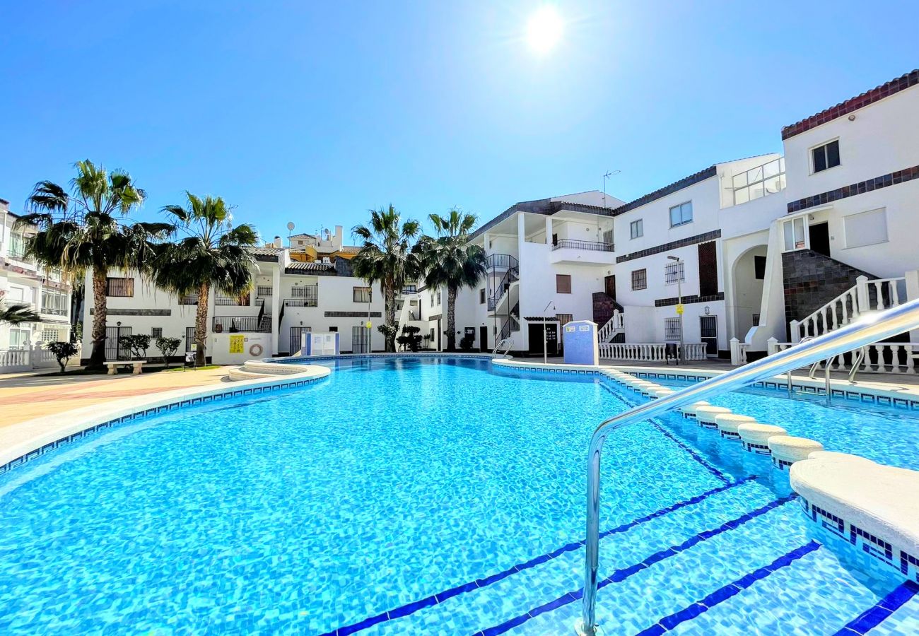 Ferienwohnung in Torrevieja - RENTED! Don Quijote | Long Term Winter Rental in P