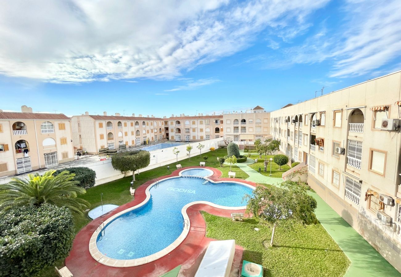 Appartement in Torrevieja - Godisa | Long Term Winter Rental in Torrevieja