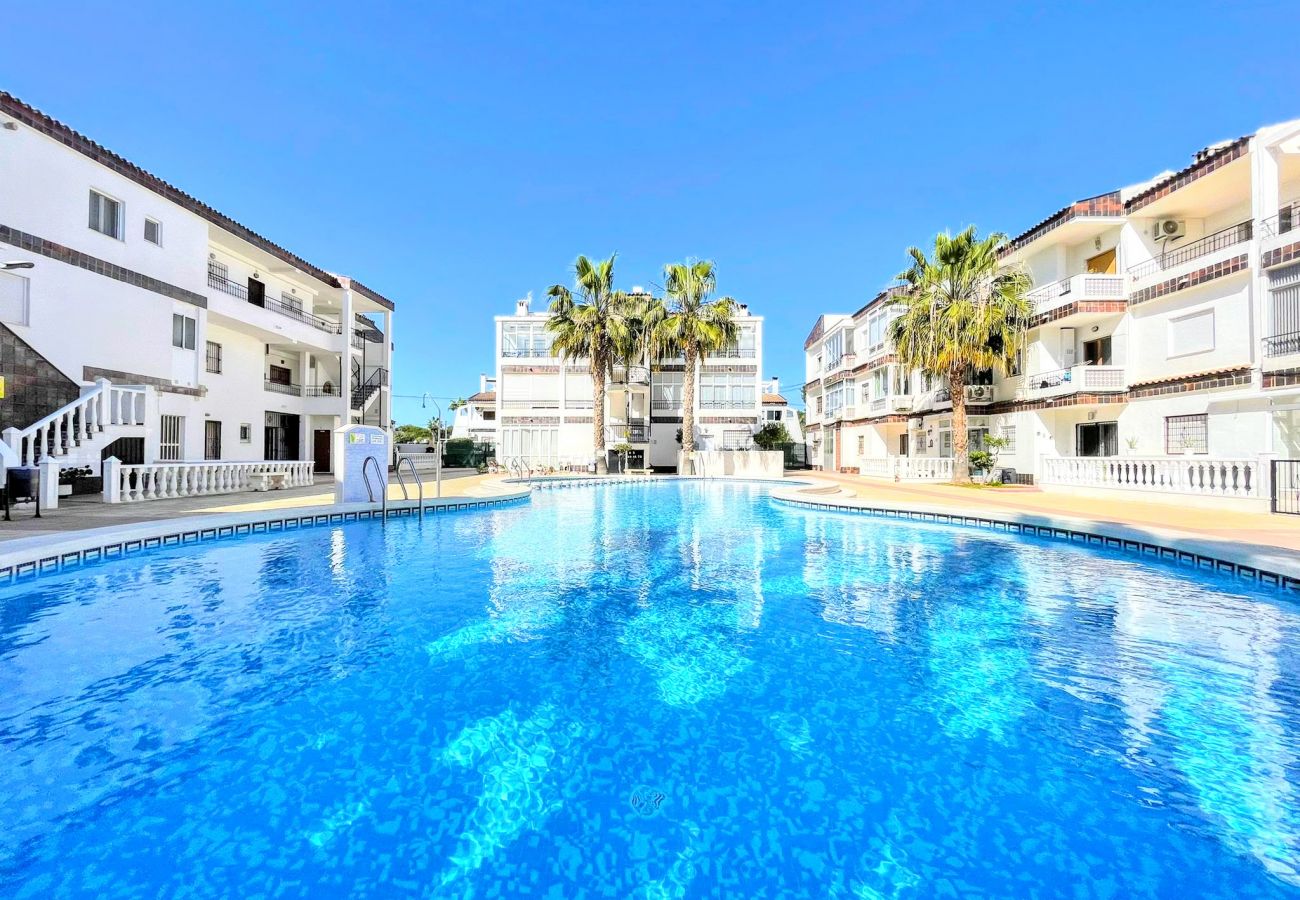 Apartment in Torrevieja - RENTED! Don Quijote | Long Term Winter Rental in P